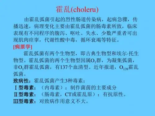 霍乱知识
