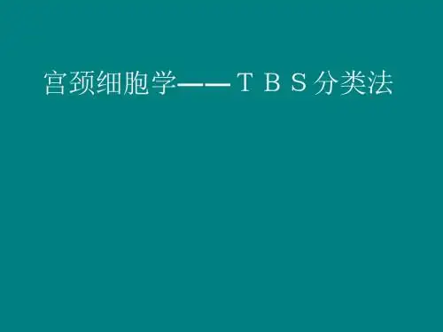 宫颈细胞学――TBS分类法