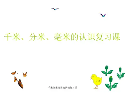 千米分米毫米的认识复习课 ppt课件
