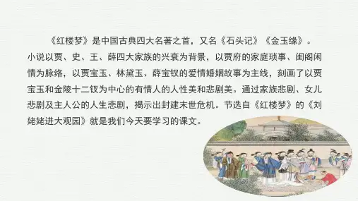 刘姥姥进大观园(共19张PPT)语文部编版九年级上册