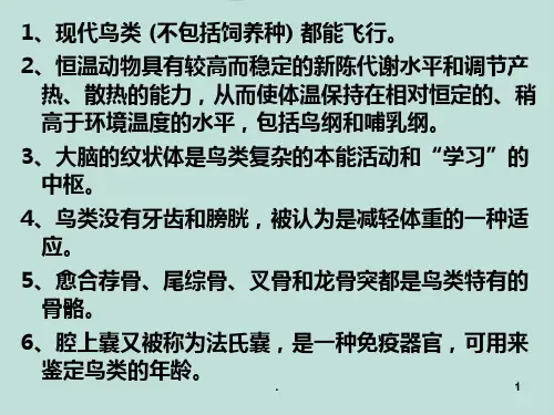 动物学哺乳纲PPT课件