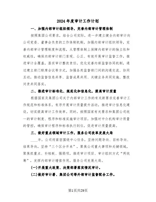 2024年度审计工作计划(7篇)