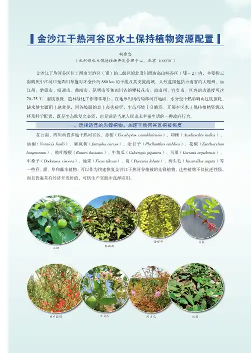 金沙江干热河谷区水土保持植物资源配置