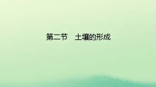 _新教材高中地理第五章地球上的植被与土壤第二节土壤的形成课件湘教版必修第一册