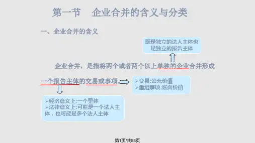 第二章企业合并会计PPT课件