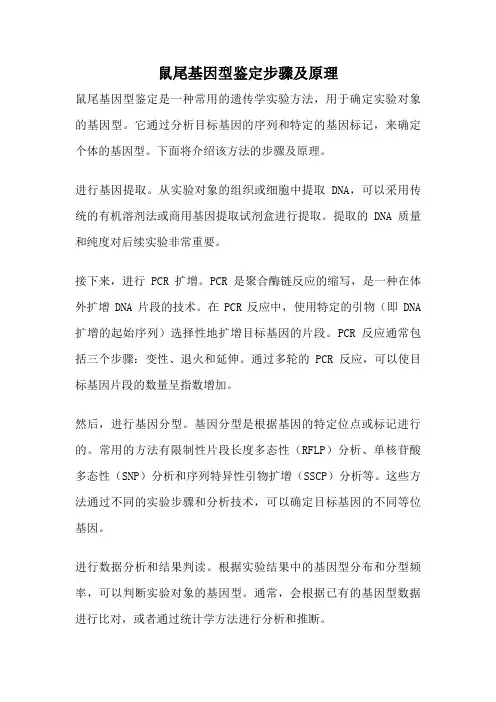 鼠尾基因型鉴定步骤及原理