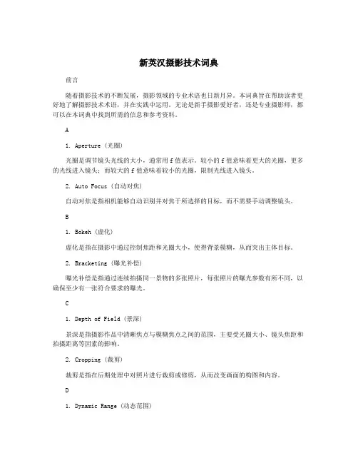 新英汉摄影技术词典