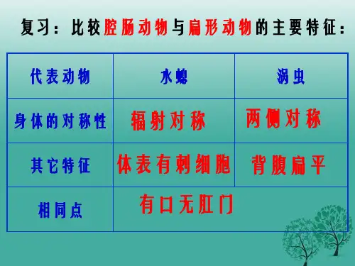 八年级生物上册 5_1_2 线形动物和环节动物课件 (新版)新人教版
