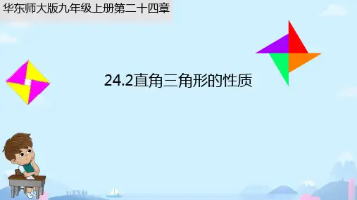 24.2直角三角形的性质+课件+2024—2025学年华东师大版数学九年级上册