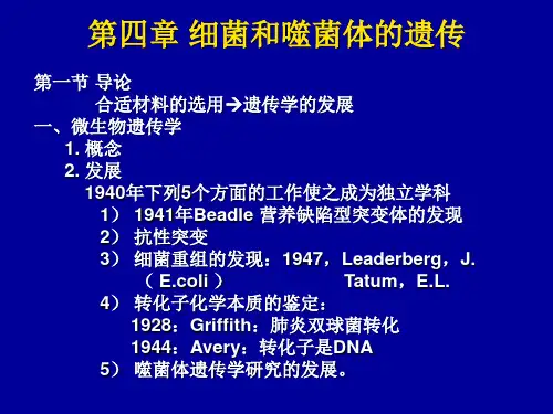 基因内部的精细结构.ppt