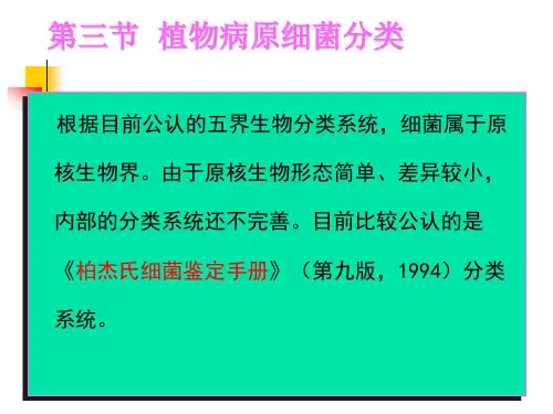 植物病原原核生物