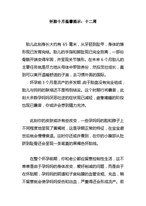 怀胎十月温馨提示十二周