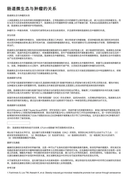 肠道微生态与肿瘤的关系