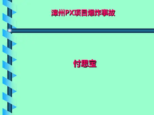 漳州PX项目爆炸事故..