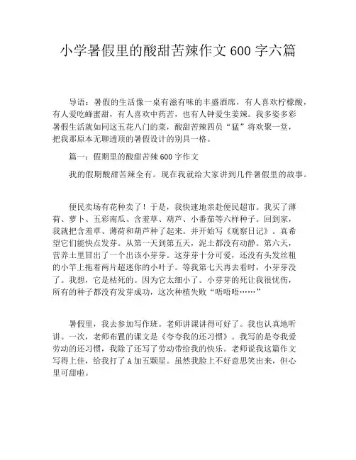 小学暑假里的酸甜苦辣作文600字六篇