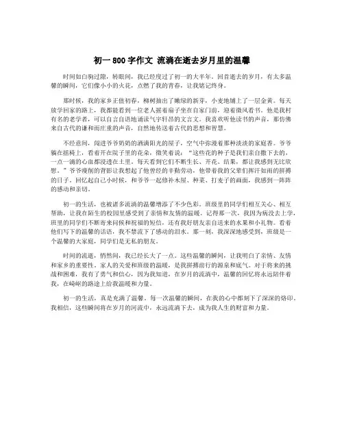 初一800字作文 流淌在逝去岁月里的温馨