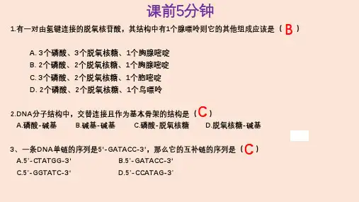 【高中生物】DNA的复制课件 高一下学期生物人教版必修2