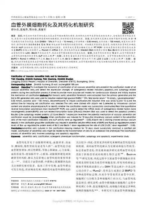 血管外膜细胞钙化及其钙化机制研究