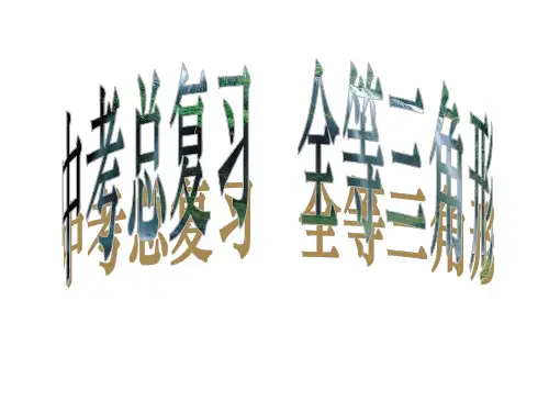 人教版八年级数学上册 第十二章 全等三角形 中考复习课件(共20张PPT)