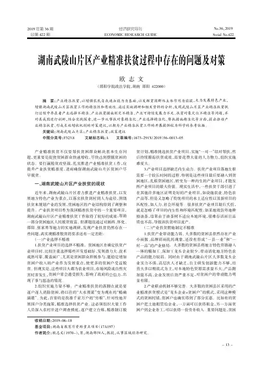 湖南武陵山片区产业精准扶贫过程中存在的问题及对策