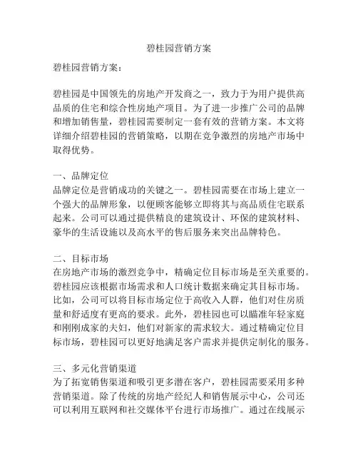 碧桂园营销方案