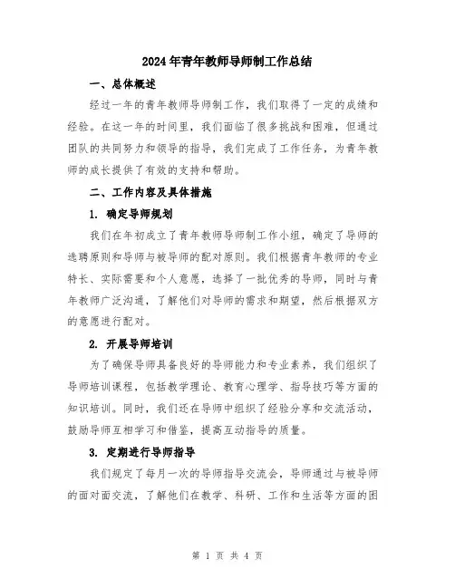 2024年青年教师导师制工作总结