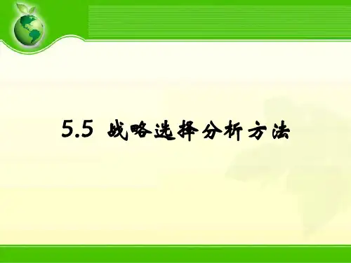 5战略选择分析方法波士顿