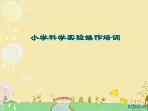 小学科学实验操作培训ppt
