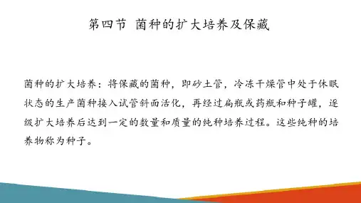生产菌种的选育培养—菌种的扩大培养及保藏