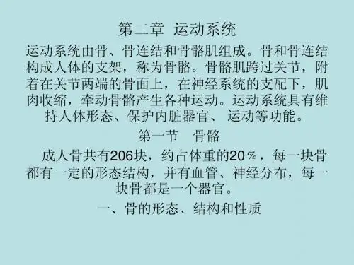 第二章运动系统