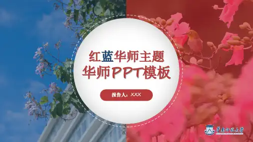 红蓝华师主题模板