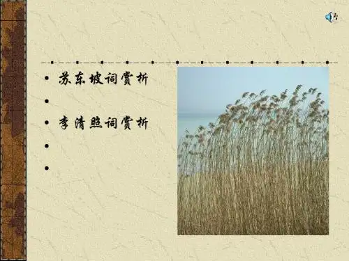 宋词赏析ppt实用课件
