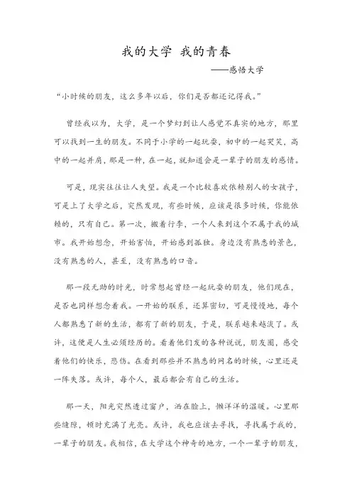 我的大学,我的青春