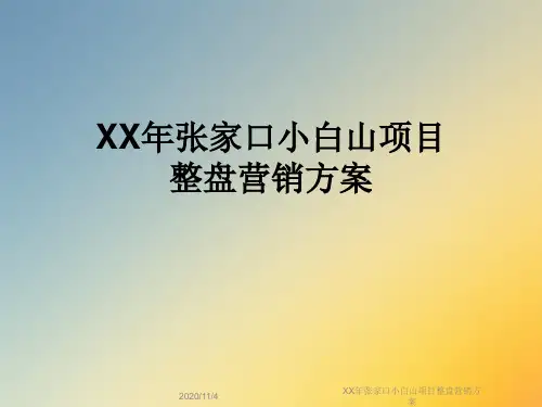 XX年张家口小白山项目整盘营销方案