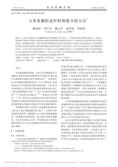 玉米果穗粘连籽粒图像分割方法