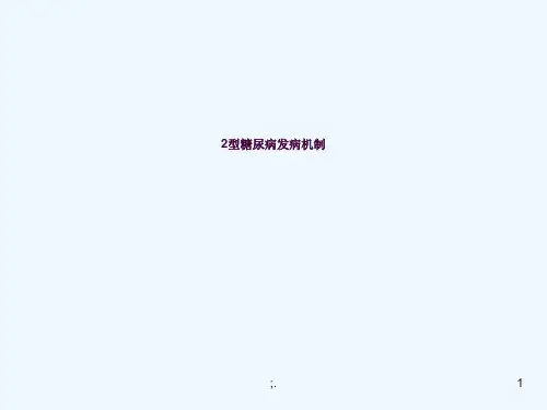 2型糖尿病发病机制ppt课件