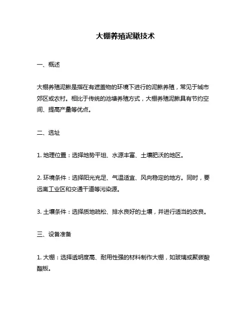 大棚养殖泥鳅技术