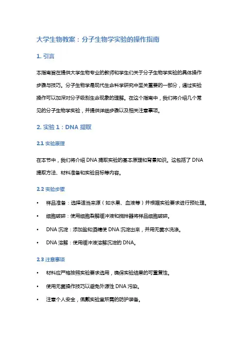 大学生物教案：分子生物学实验的操作指南
