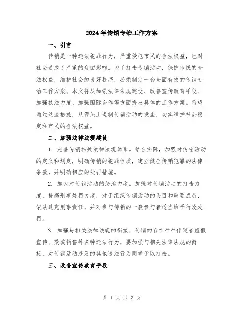 2024年传销专治工作方案