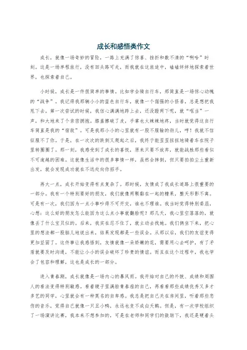 成长和感悟类作文
