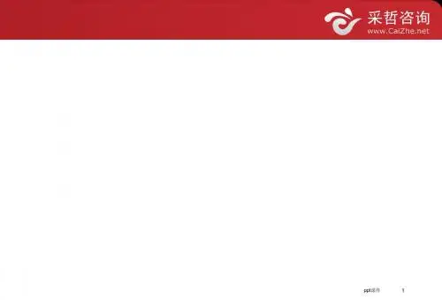 投资儿童乐园项目(室内)调研报告  ppt课件