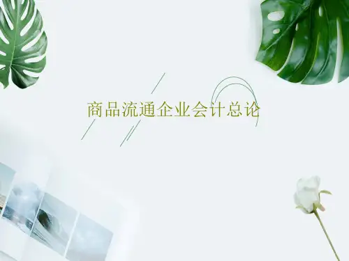 商品流通企业会计总论22页PPT