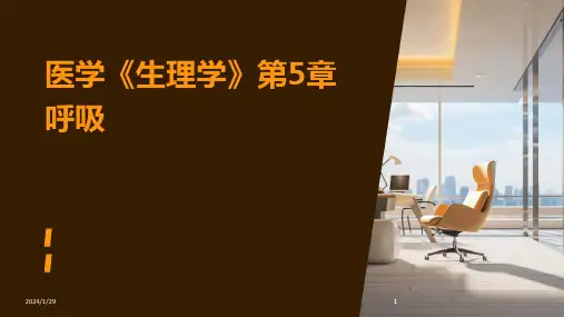 2024版医学《生理学》第5章呼吸