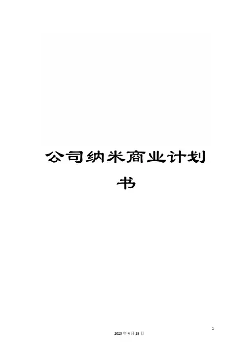 公司纳米商业计划书
