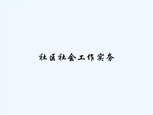 社区社会工作实务 PPT