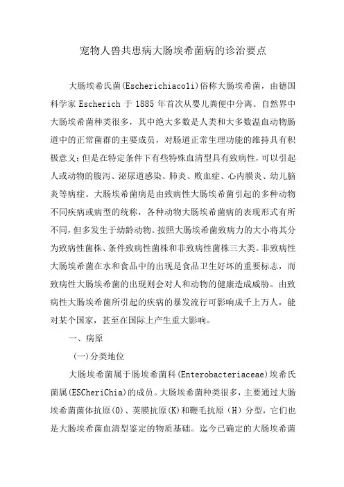 宠物人兽共患病大肠埃希菌病的诊治要点