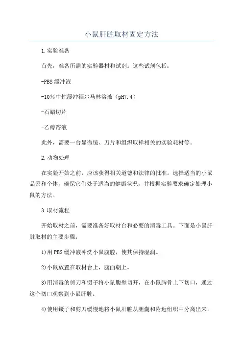 小鼠肝脏取材固定方法