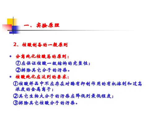 DNA提取注意事项