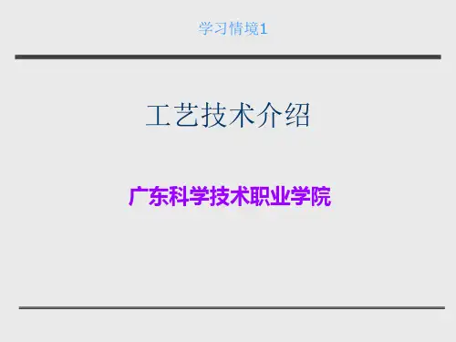 《工艺技术介绍》PPT课件
