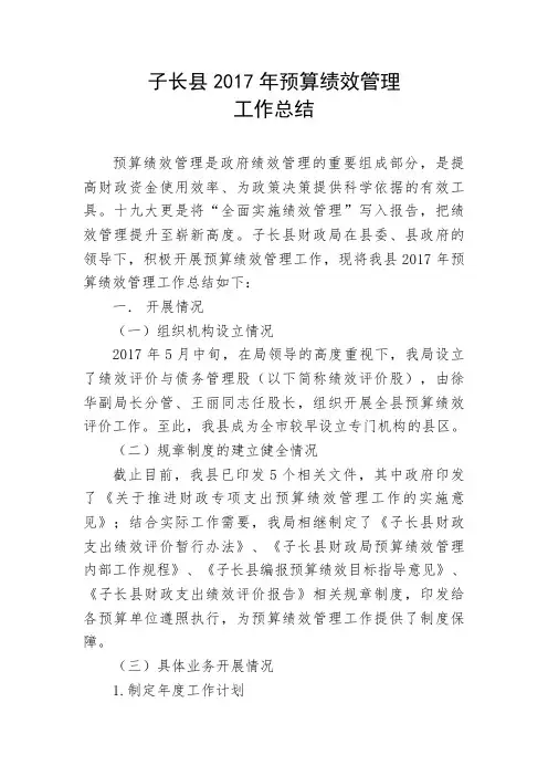 子长县2017年预算绩效管理工作总结